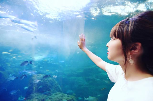 画像3: やってきたのは……新江ノ島水族館!