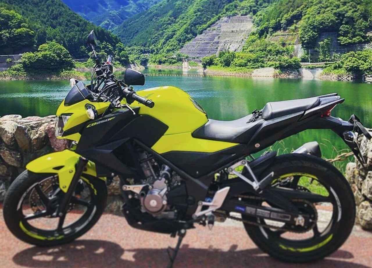 画像: 緑をバックに…撮影のお手本になりすぎる3選!!【リトホンインスタ部vol.72】 - A Little Honda | ア・リトル・ホンダ（リトホン）