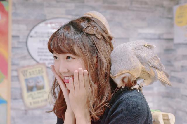 画像1: フクロウちゃんたちとの触れ合い