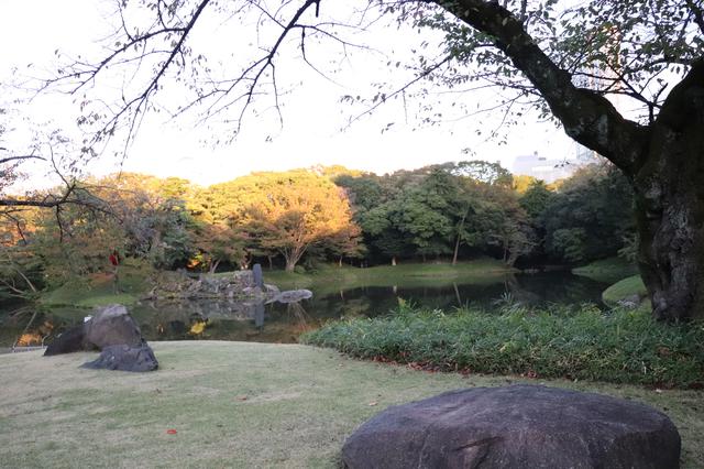 画像7: 大人可愛い着物でお出かけ♪小石川後楽園にて令和の秋を感じる【声優・西田望見のA Little♡Rider @モンキー125 バナナイエロー】