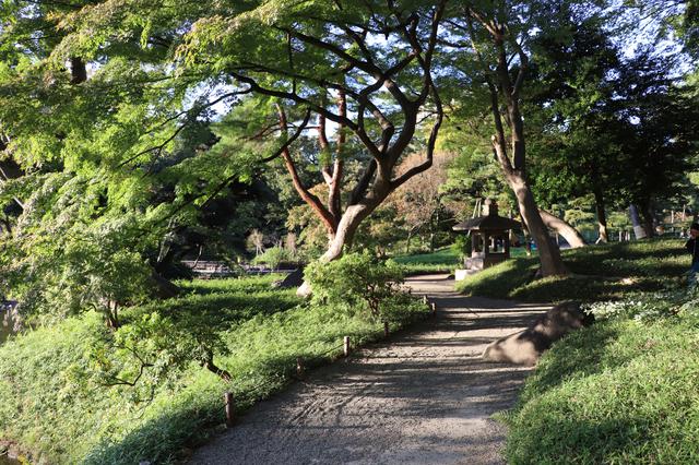 画像6: 大人可愛い着物でお出かけ♪小石川後楽園にて令和の秋を感じる【声優・西田望見のA Little♡Rider @モンキー125 バナナイエロー】