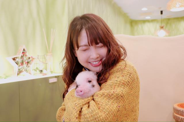 画像5: かわいいマイクロブタちゃんとの出会いに感激!