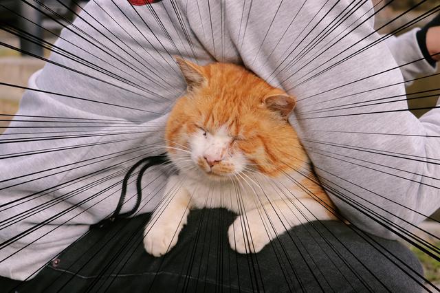 画像: 釣りポイントを探ろう!