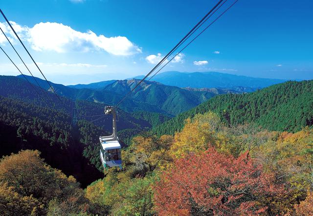 画像: osaka-info.jp