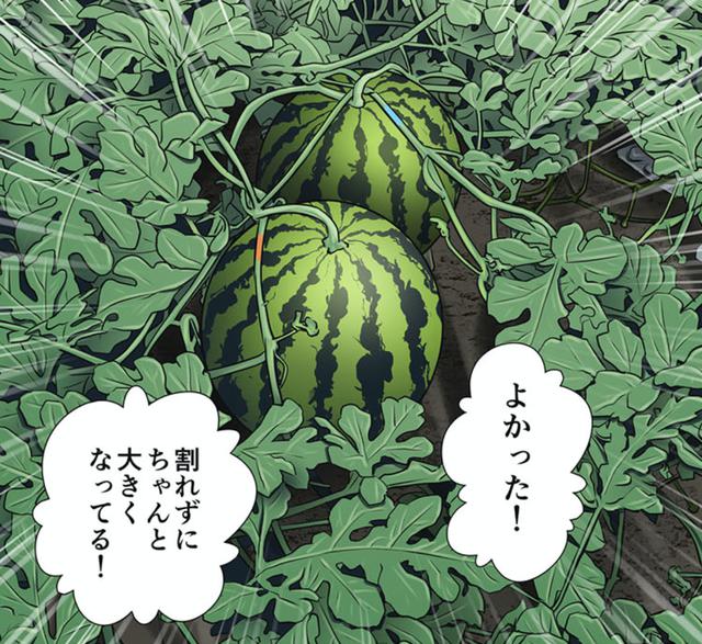 画像: 第12話「みのりの大地」