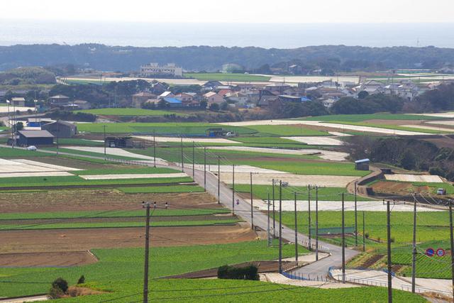画像: 神奈川県・絶景とマグロを堪能 三浦半島