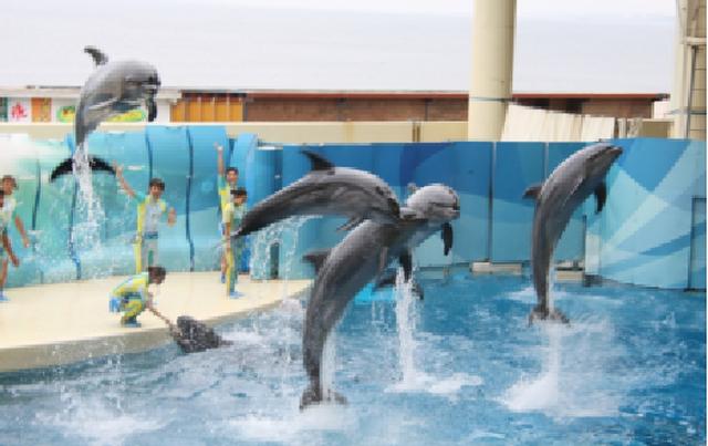 画像: 江ノ島水族館
