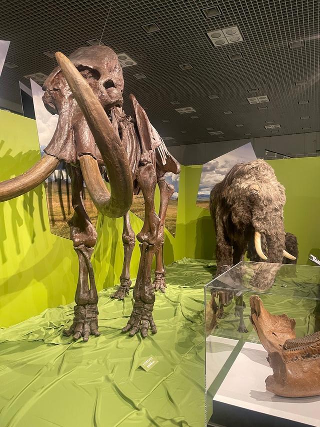 画像: 巨大生物との対面