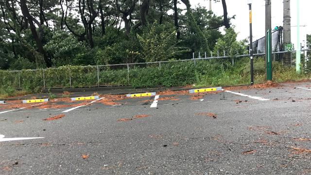 画像: チェック1:傾斜していないか