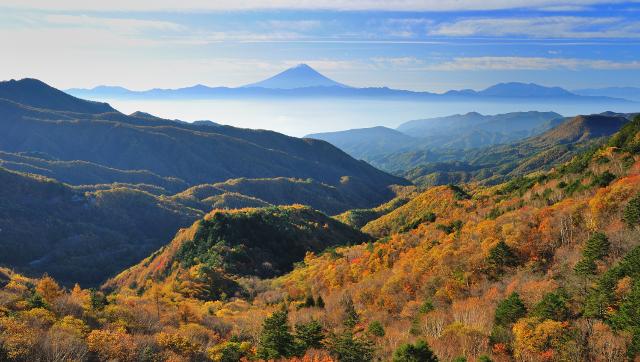 画像: クリスタルライン(山梨県)