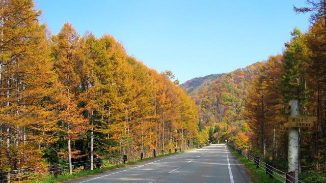 画像: せせらぎ街道(岐阜県)