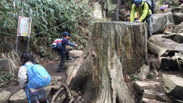 画像2: 3) 筑波山 おたつ石&白雲橋コース(茨城県) 後半は巨岩が続く冒険ルート!