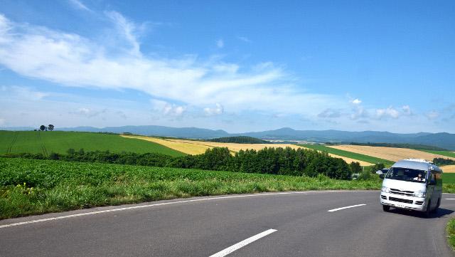 画像1: 2.パッチワークの路