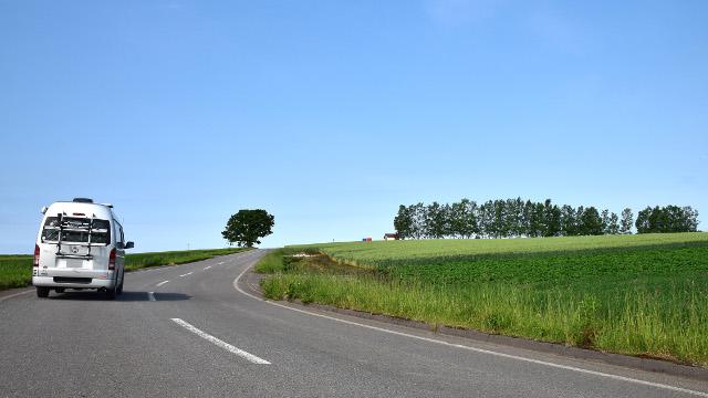 画像3: 2.パッチワークの路