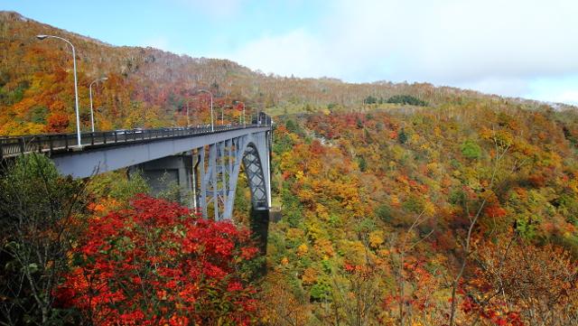 画像: 霧降高原道路(栃木県)