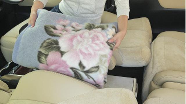 画像2: 一般車で安眠するための、カラダ水平アイデア選手権!