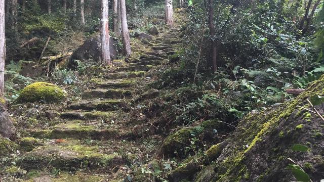 画像1: 完走への最終セクション。 ラスボスは急坂の階段だ!