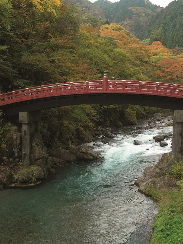 画像4: STEP3 男体山(栃木県)