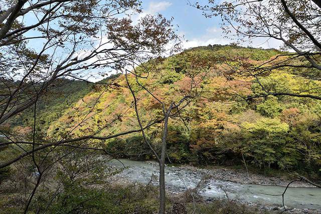 画像3: 行ったからこそわかる! RVパーク6つの便利ポイント