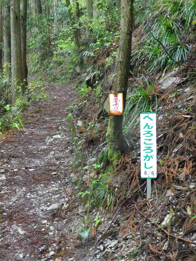 画像: 16日目は驚きの阿波遍路三大難所「遍路ころがし」