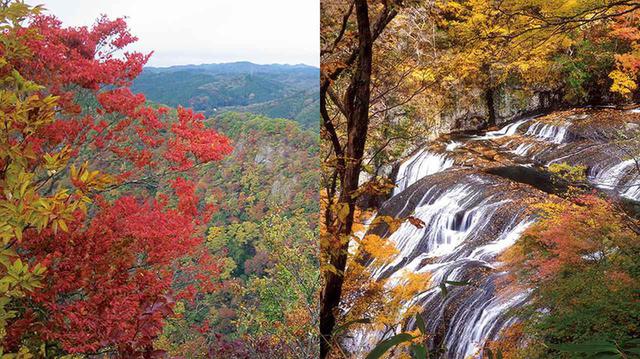 画像: ゆるーく歩くなら、こんな選択もあり! 茨城/月居山&袋田温泉