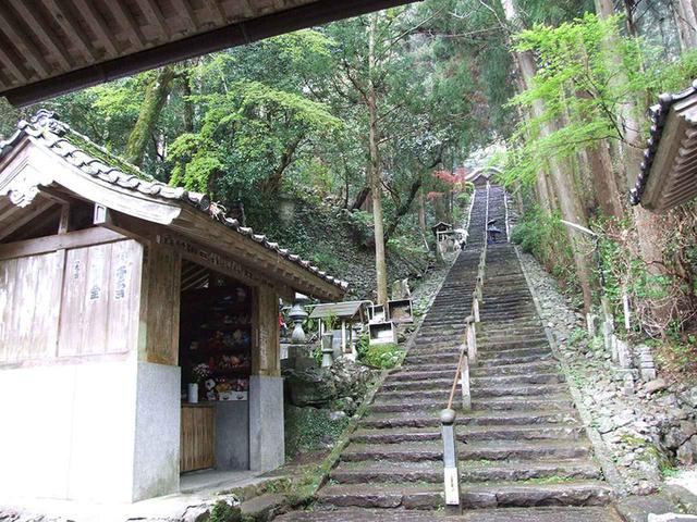 画像: 弘法大師のゆかりの色濃い札所に感動