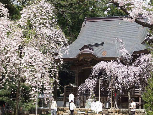 画像: 26番札所 国分寺。