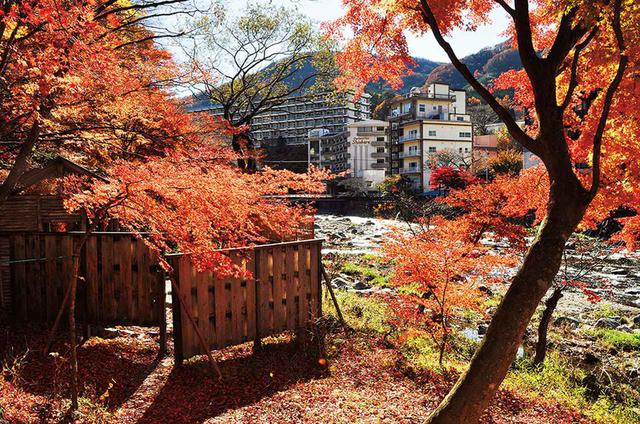 画像1: 居心地、泉質、風情の三拍子がそろう北関東屈指の温泉地、塩原温泉郷
