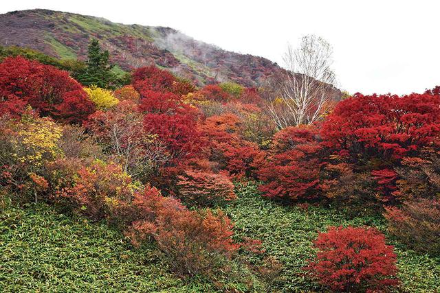 画像: 10月初旬から色づく那須の茶臼山。