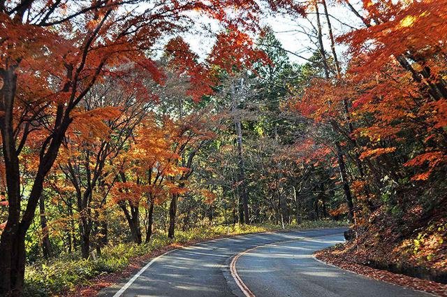 画像1: 秋は鬼怒川温泉に出て「日塩(にちえん)もみじライン」で塩原温泉までのドライブが◎