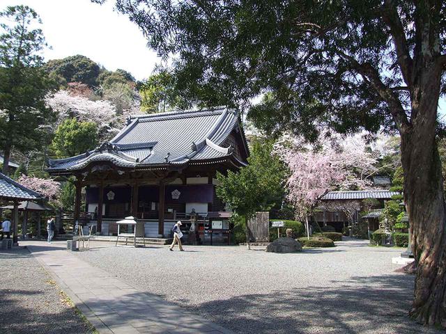 画像: 39番札所 延光寺。境内には眼の病気に御利益がある「眼洗い井戸」がある。