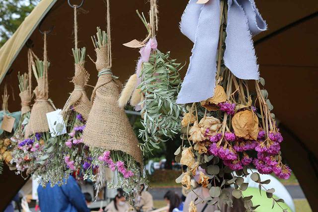 画像: 暮らしに植物を取り入れて