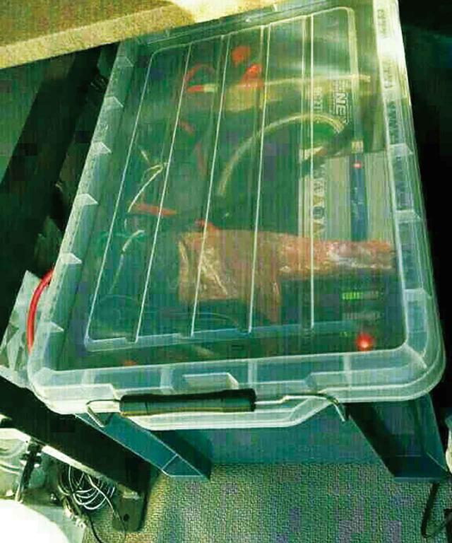 画像3: 細長いサイズのバッテリー