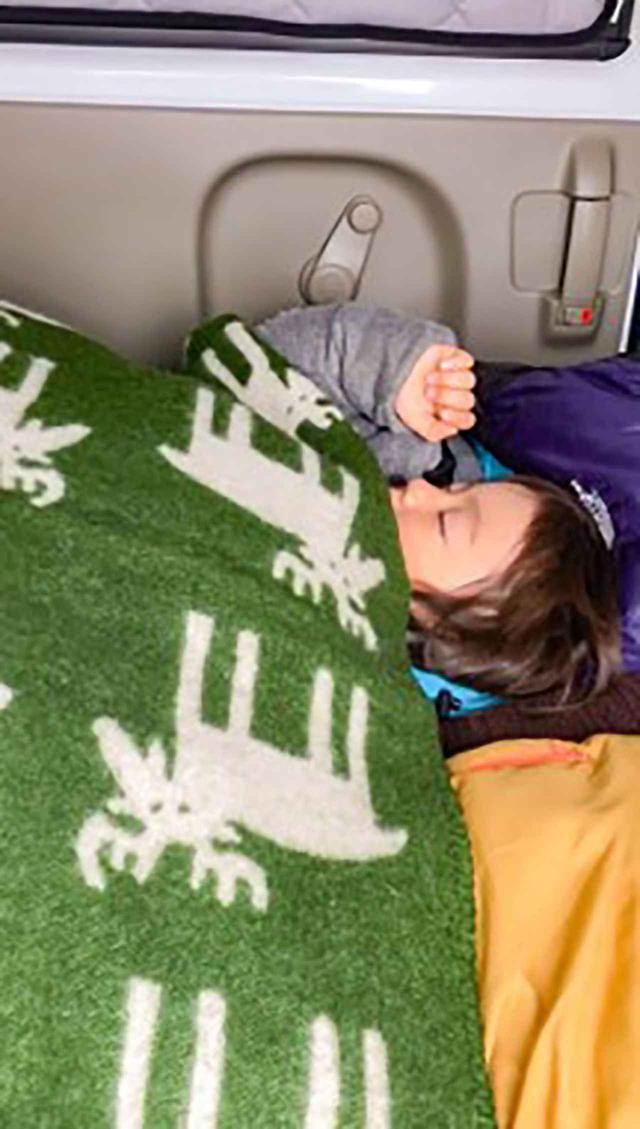 画像: よく眠っているアリもそろそろ起こさなきゃ。