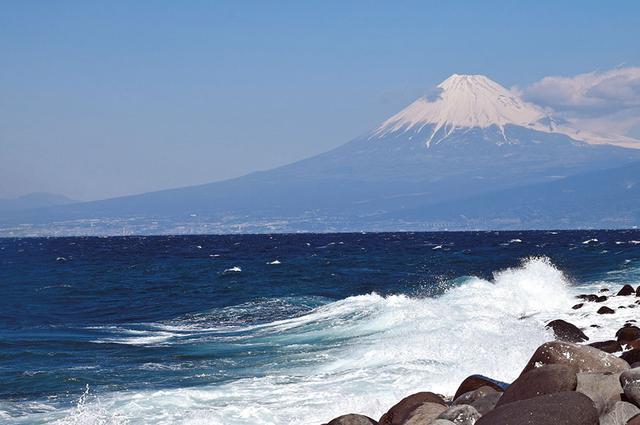 画像1: 【伊豆半島】南伊豆の河津桜