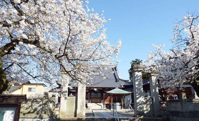 画像: 59番札所 国分寺。写真/Dokudami