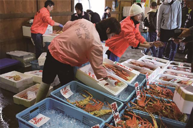 画像2: 但馬で食べられるズワイガニは 2種類