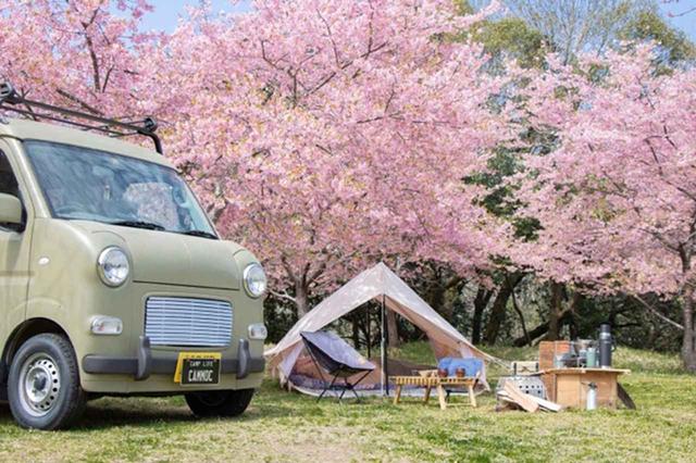 画像2: 「ただいまー!」がいいたいキャンプ場