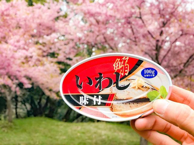 画像: 管理人さんにいただいたイワシ缶。