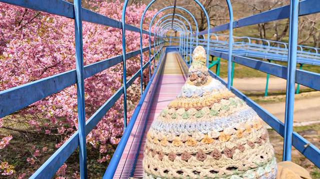 画像: 満開の桜の横をスライダーで滑り降りる。