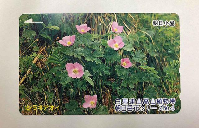 画像3: 【通信グッズ】