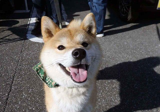 画像2: ※写真はイメージです