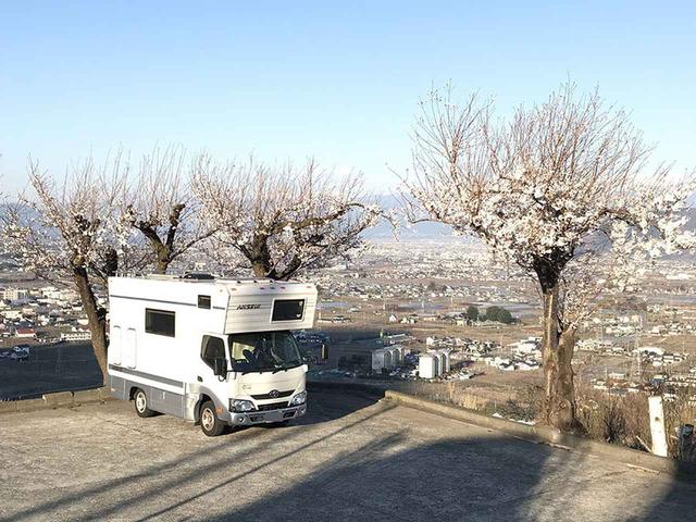 画像: ぶどうの丘の気になる点は……