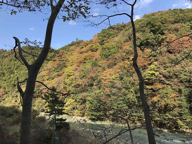 画像2: ②愉快なおやじの隠れ家的キャンプ場へ!