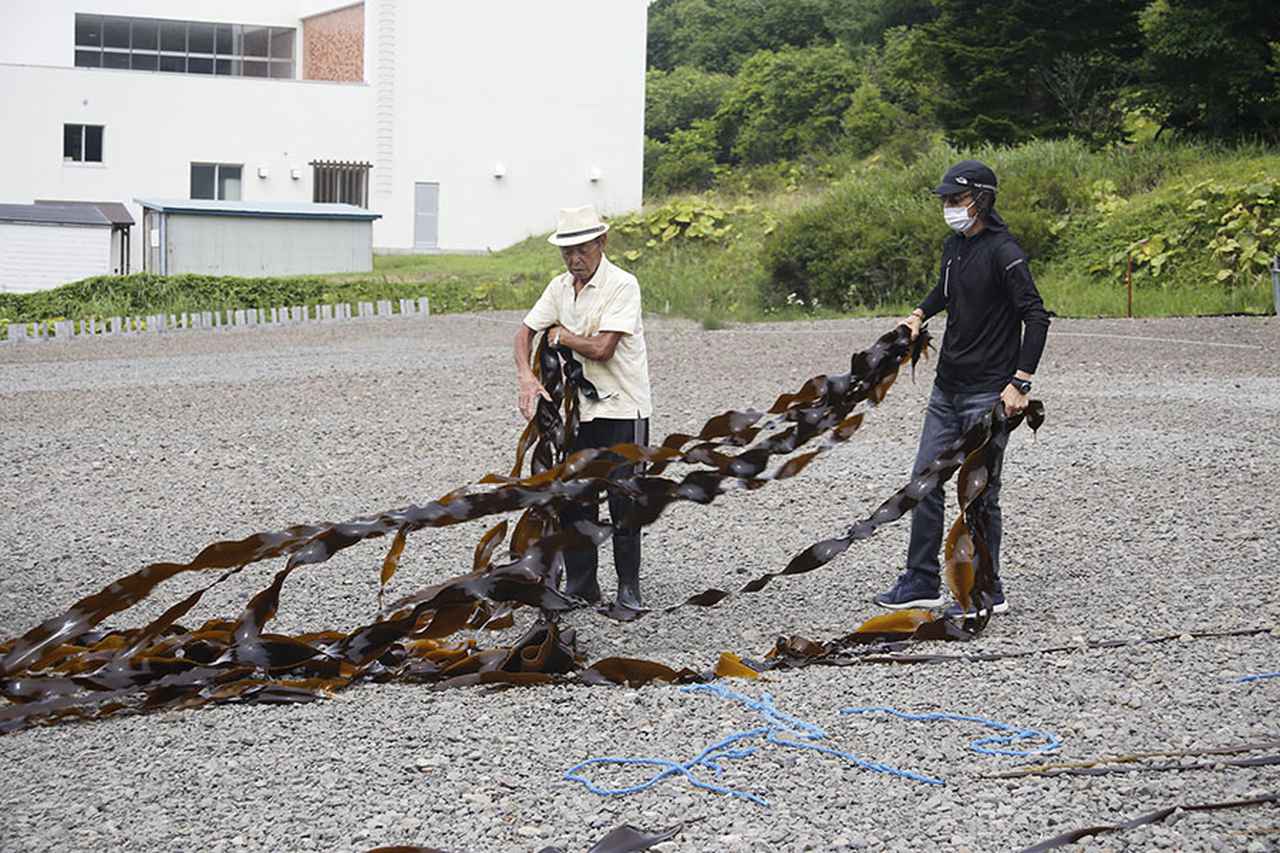 画像1: ツアー1日目 昆布森で昆布干しを手伝って地元の海産物に舌鼓!
