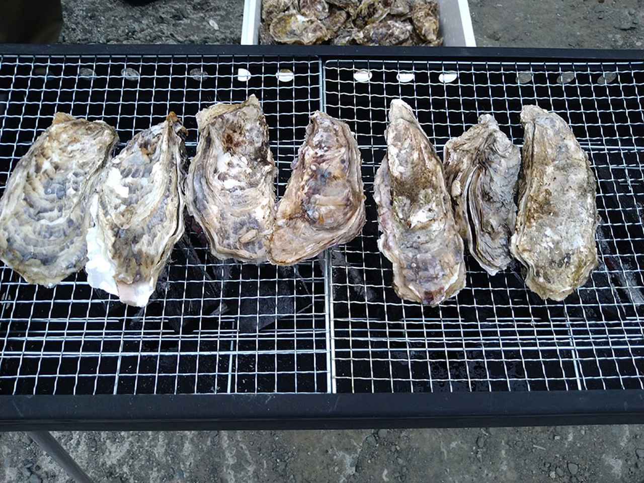 画像: 仙鳳趾の牡蠣は生でも焼いても絶品。