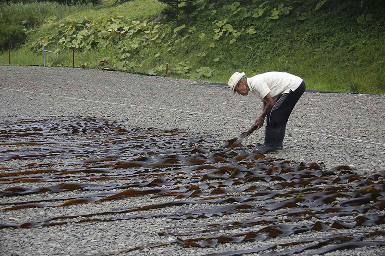 画像2: 絶品の海の幸に出合った北海道クルマ旅