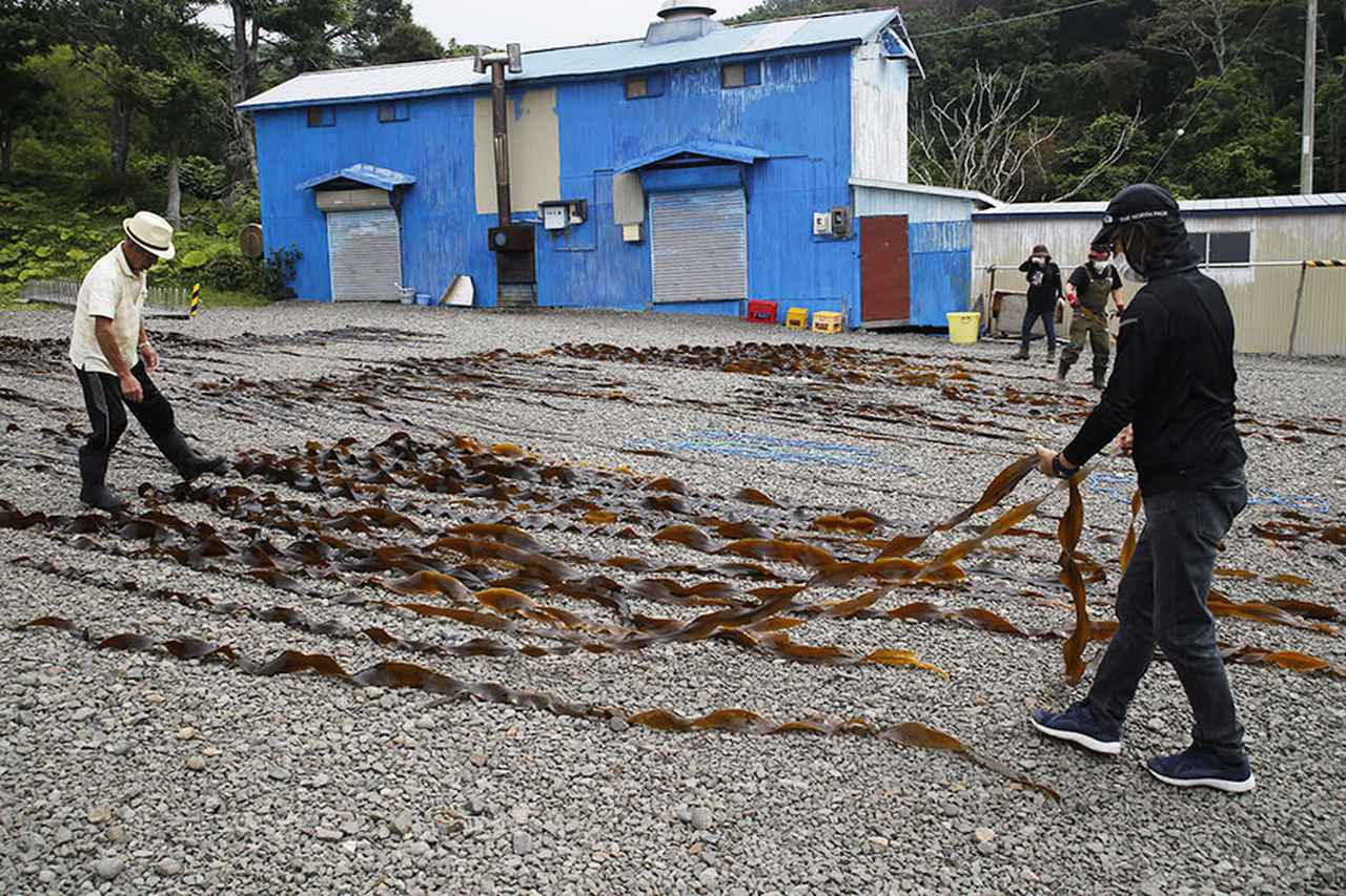 画像3: 絶品の海の幸に出合った北海道クルマ旅