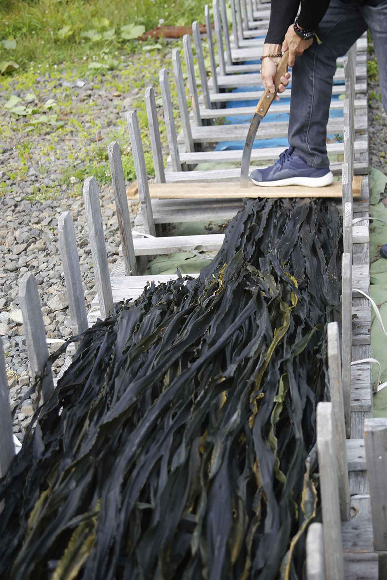 画像2: ツアー1日目 昆布森で昆布干しを手伝って地元の海産物に舌鼓!