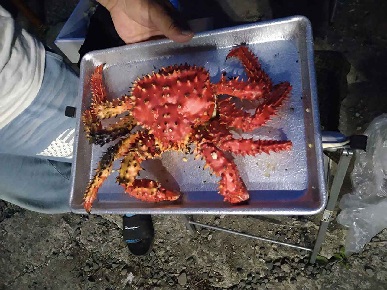 画像3: ツアー1日目 昆布森で昆布干しを手伝って地元の海産物に舌鼓!